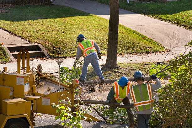 Best Tree Clearing Services  in North Bonneville, WA